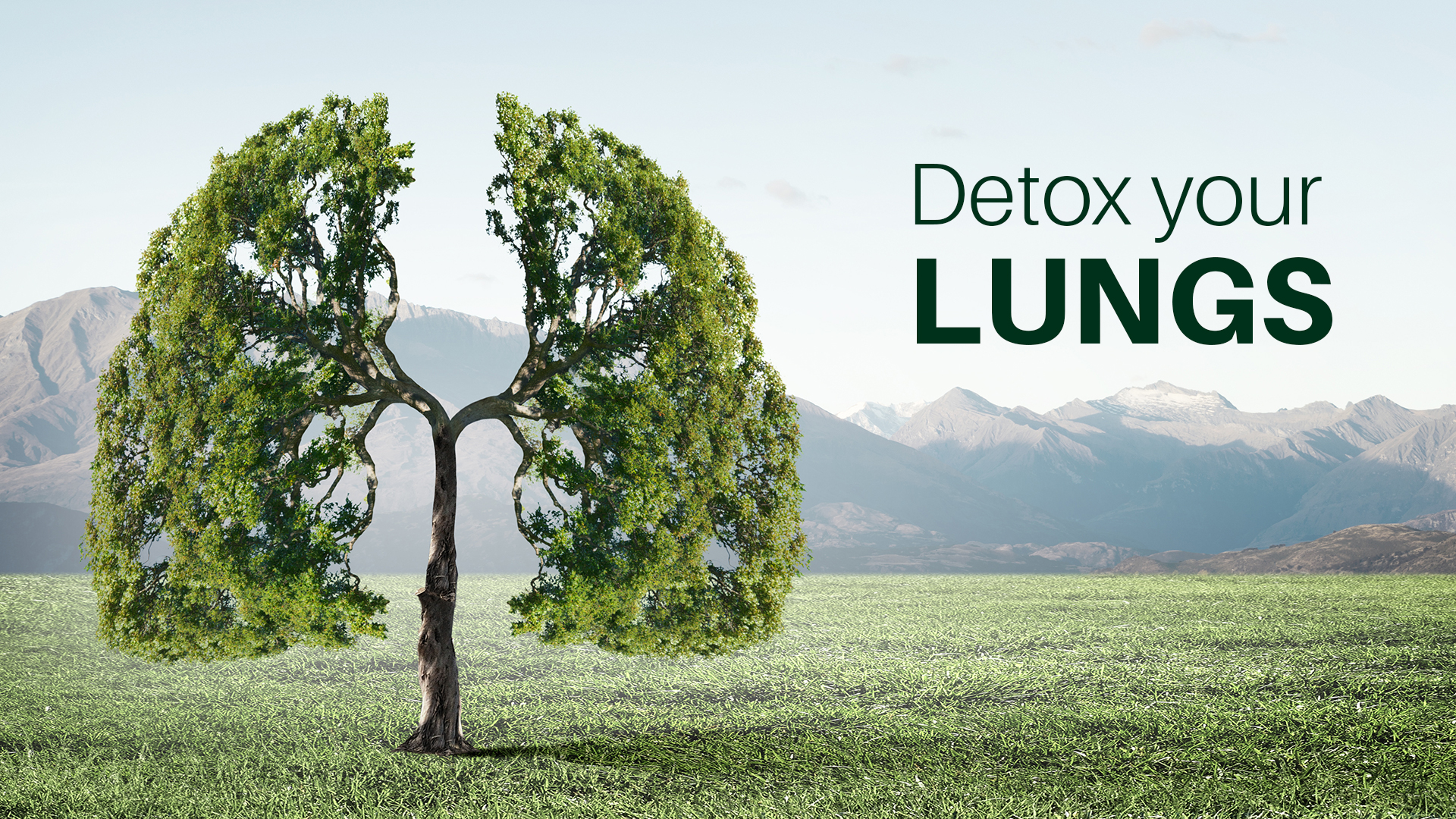 Detox your Lungs, Naturally!