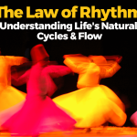 natural cycles low